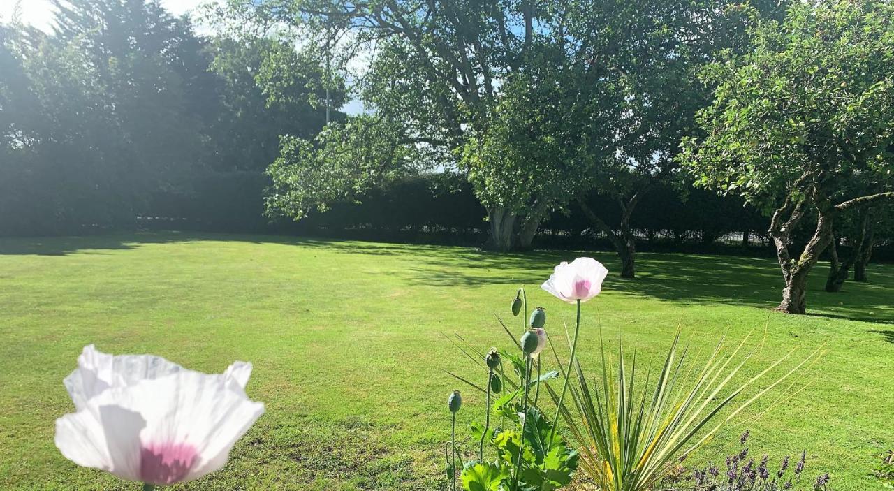 Hope Orchard Bed and Breakfast Cheltenham Exteriör bild