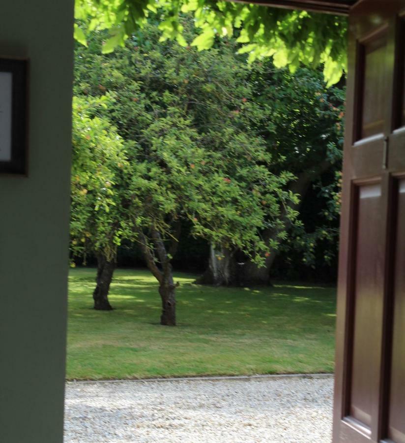 Hope Orchard Bed and Breakfast Cheltenham Exteriör bild
